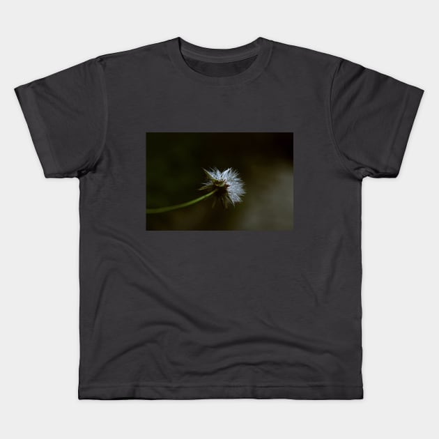 Crepis Tectorum Illustration Kids T-Shirt by mavicfe